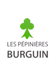PÉPINIÈRES BURGUIN